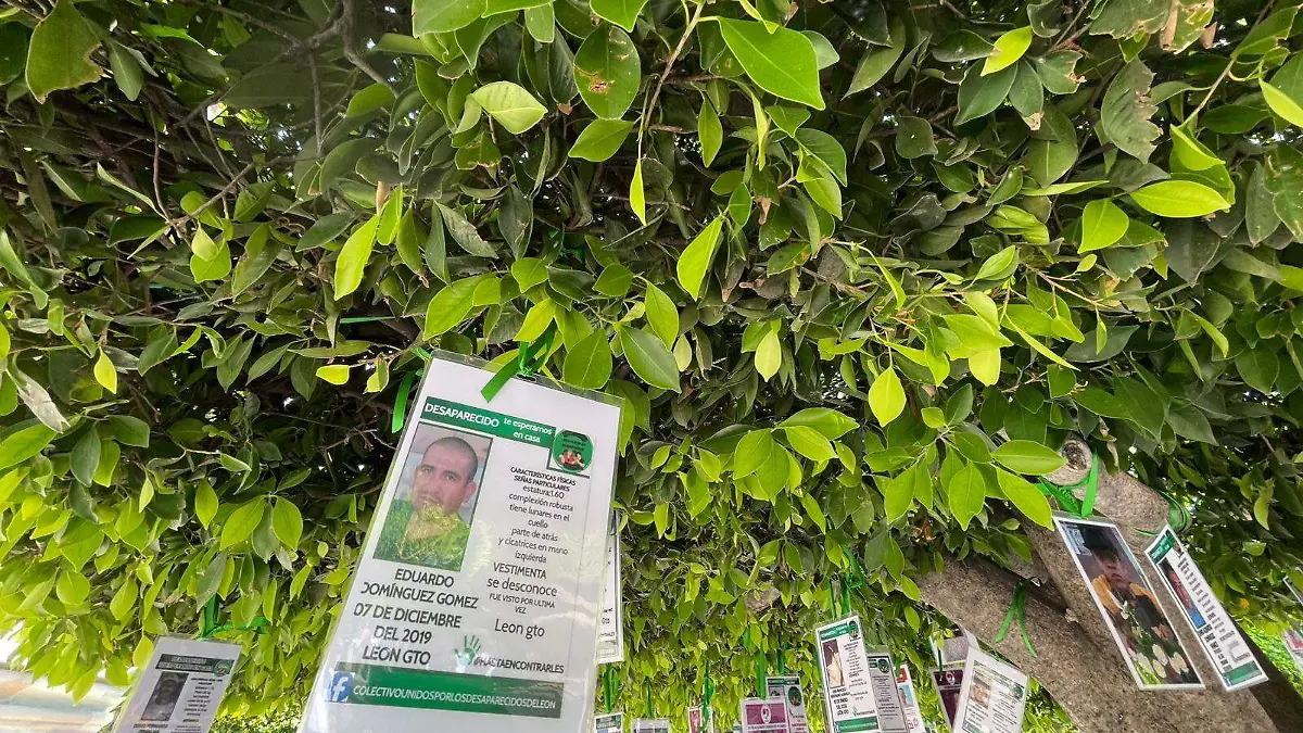 Reinstalan 100 fichas de búsqueda en el “Árbol de la Esperanza” en León