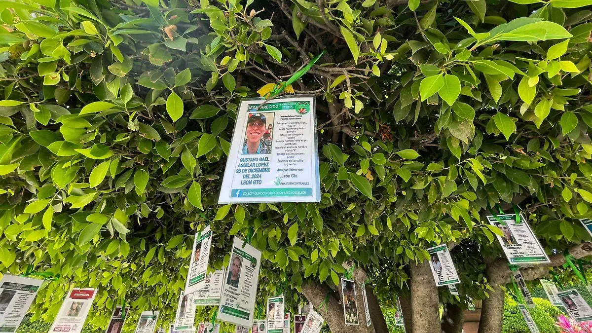 Reinstalan 100 fichas de búsqueda en el “Árbol de la Esperanza” en León