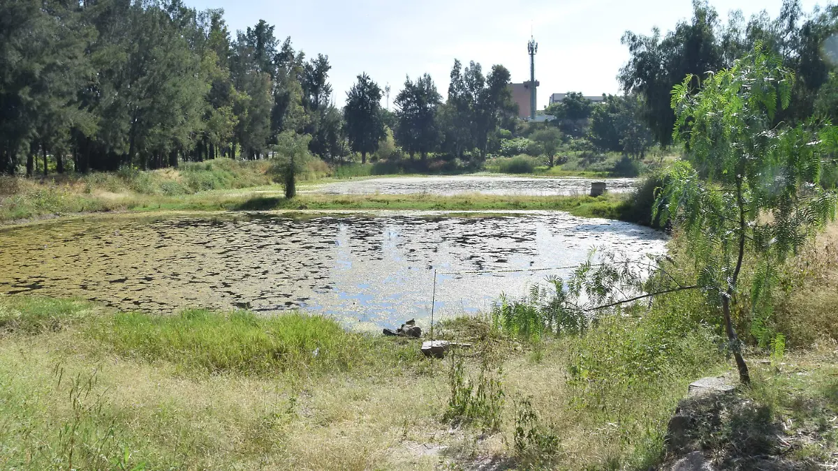Vecinos denuncian abandono del Parque Chapalita en León