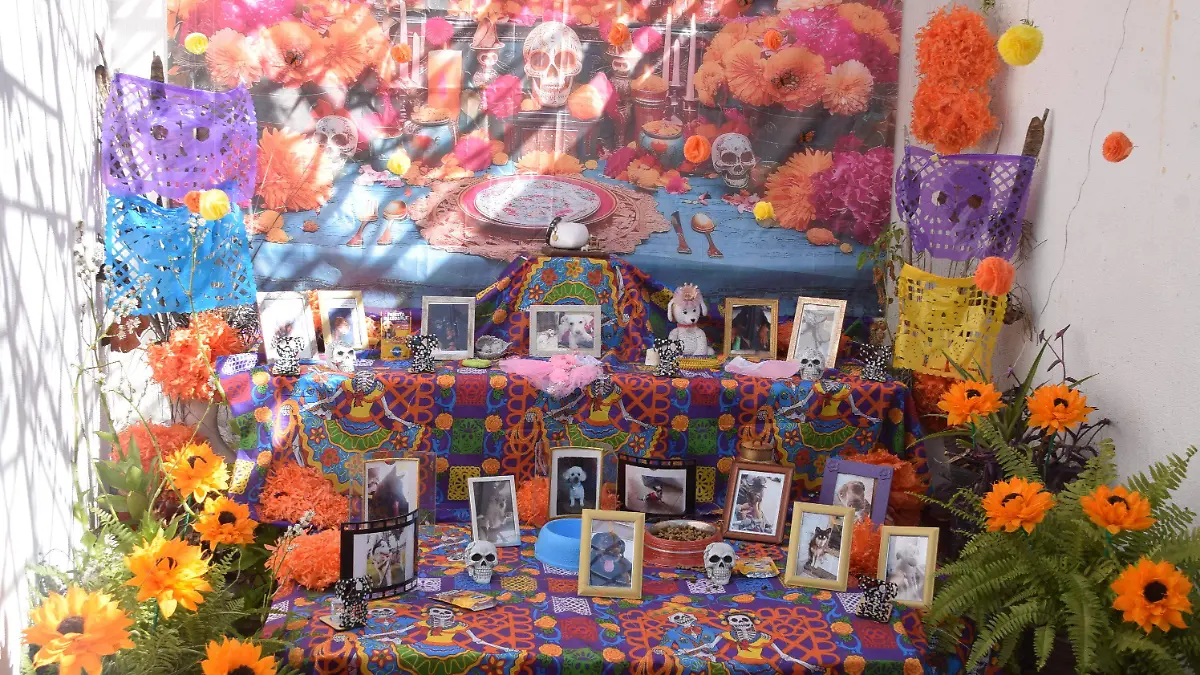 Así recuerda Lupita a sus mascotas fallecidas con un altar de Día de Muertos