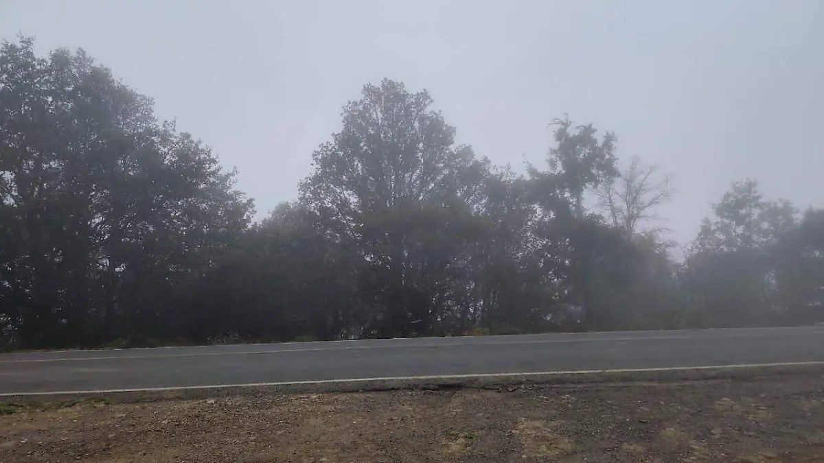 WhatsApp Image 2025-11-11 at 8.31.33 AM