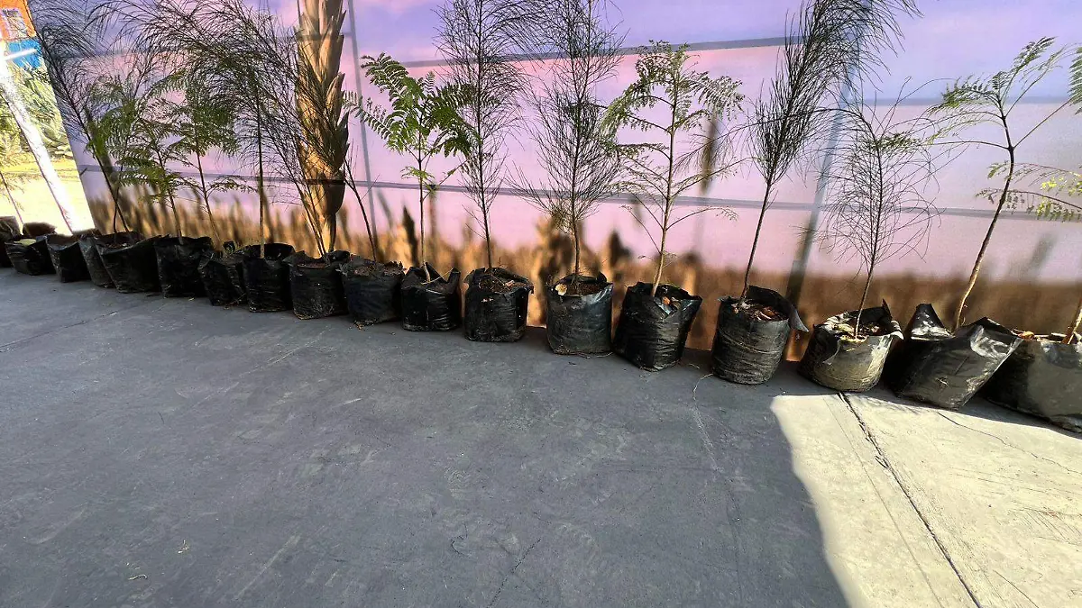 Guanajuato – Apoyan al campo capitalino con la entrega de equipo (1).jpeg