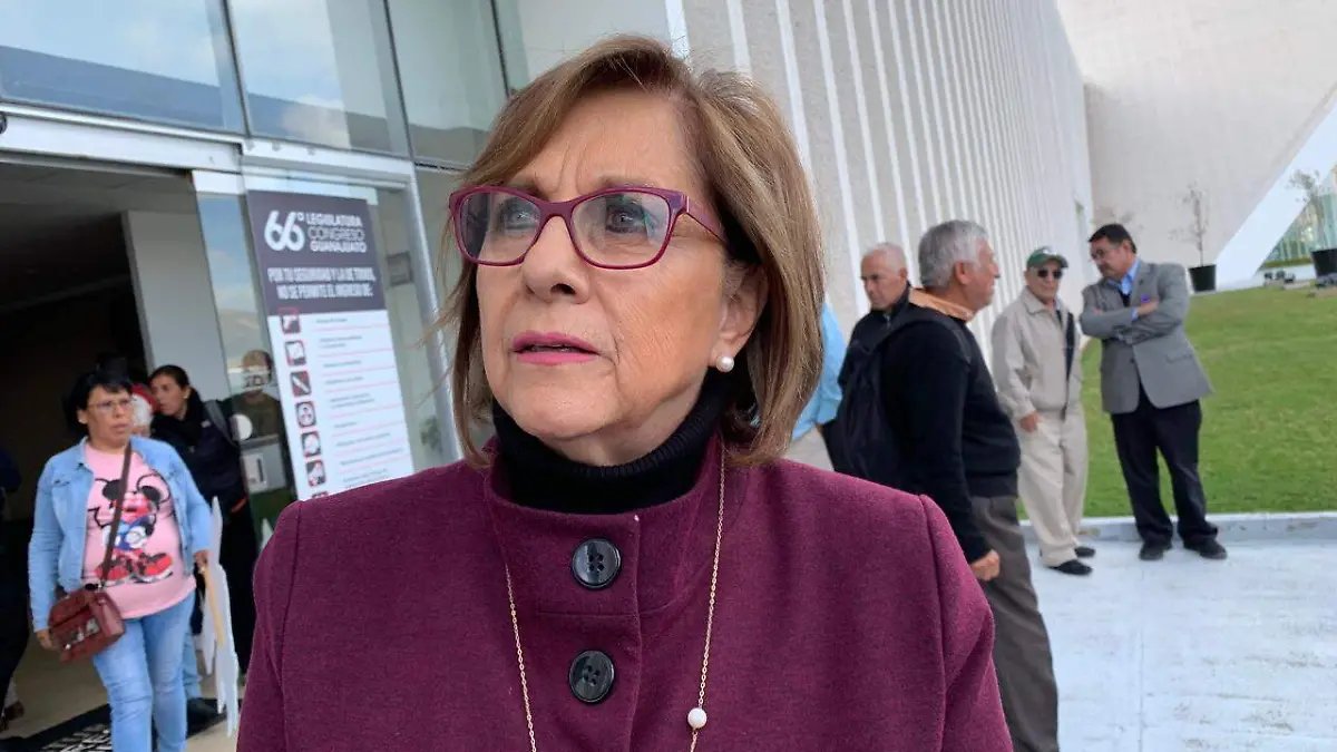 Martha Lucia Mícher Camarena, senadora de Morena 