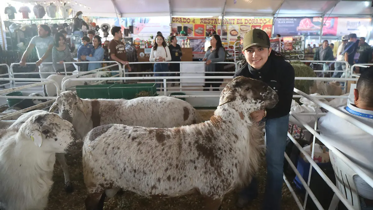 FERIA GANADERA (2).JPG