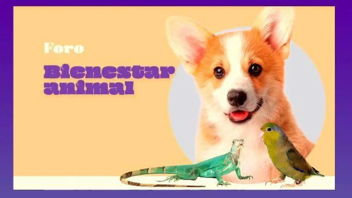 WhatsApp Image 2025-12-01 at 10.51.37 AM