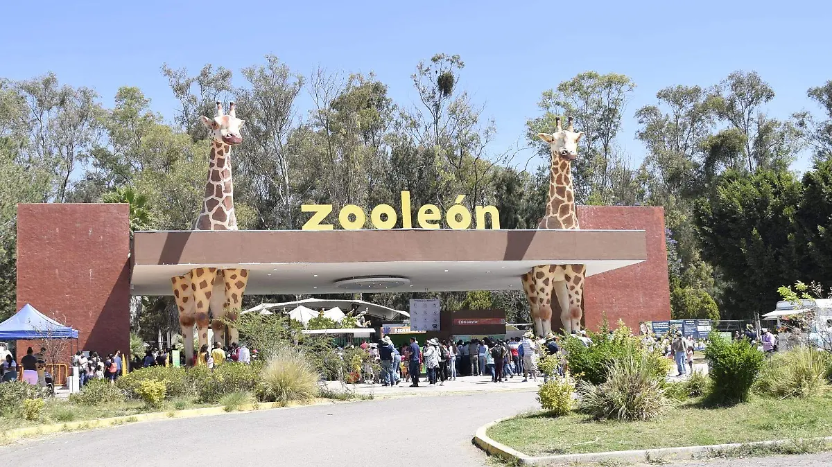 FRANCISCO CARMONA ACI ZOOLOGICO (42)