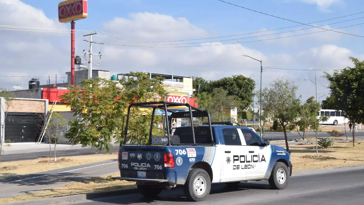 F CARMONA SEGURIDAD DE LAS JOYAS (10)