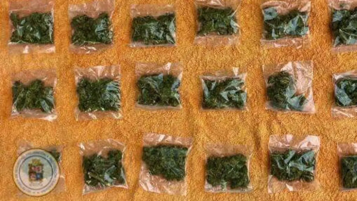 IMG_20251208_170546_581