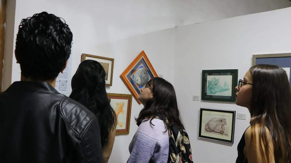 599341403_1352159476953691_408841029168816660_n