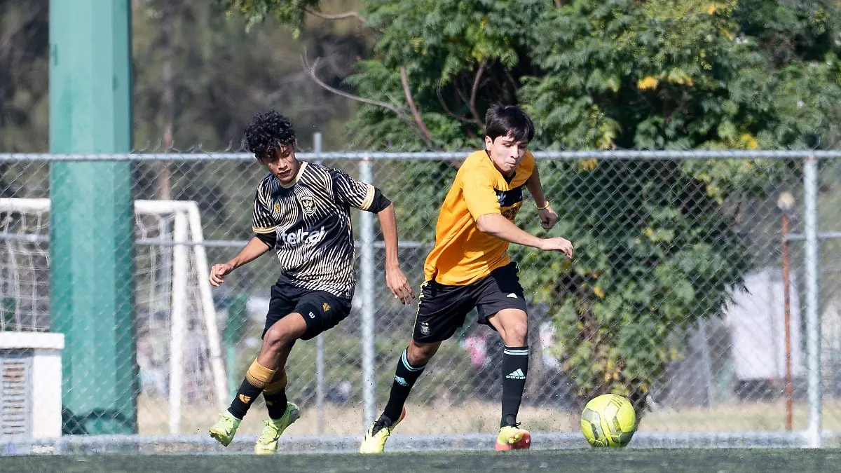 Cortesia LIGA ESTUDIANTIL (10)