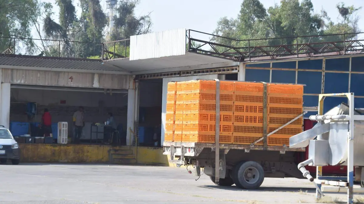 WhatsApp Image 2025-12-17 at 4.06.15 PM