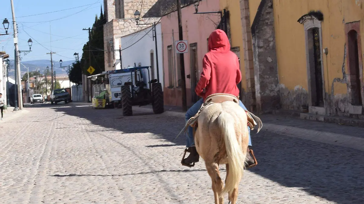 f carmona turismo nuevo valle de moreno (38)