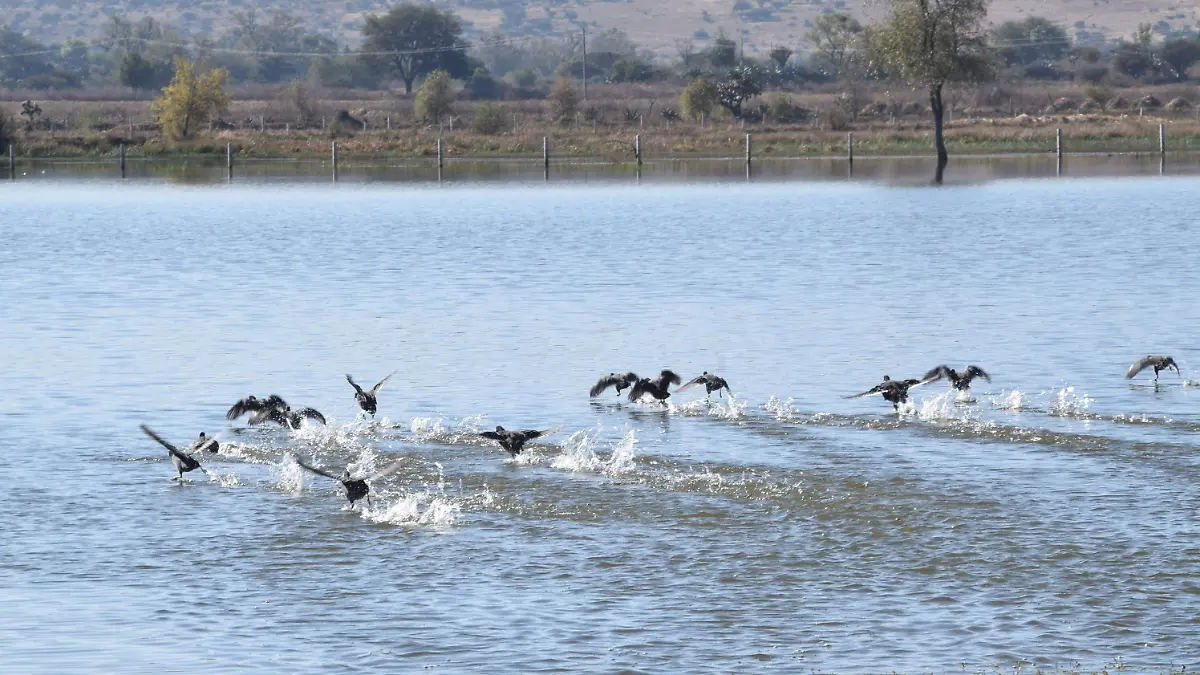 f carmona frio nuevo valle de moreno (3).JPG