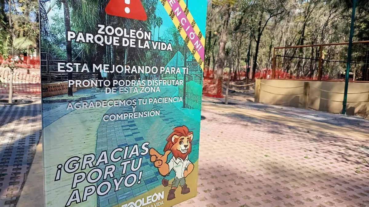 WhatsApp Image 2025-12-20 at 5.57.48 PM (2)