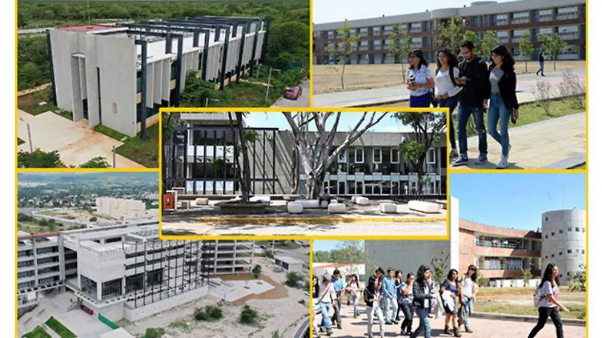 WhatsApp Image 2025-12-22 at 12.28.17 PM