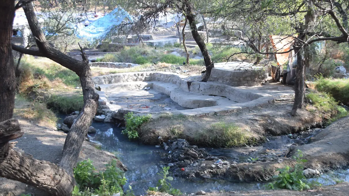 f carmona comanjilla (5)