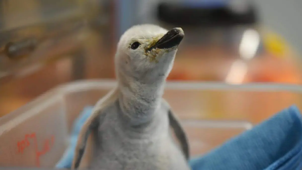 WhatsApp Image 2025-12-26 at 5.29.34 PM (3)