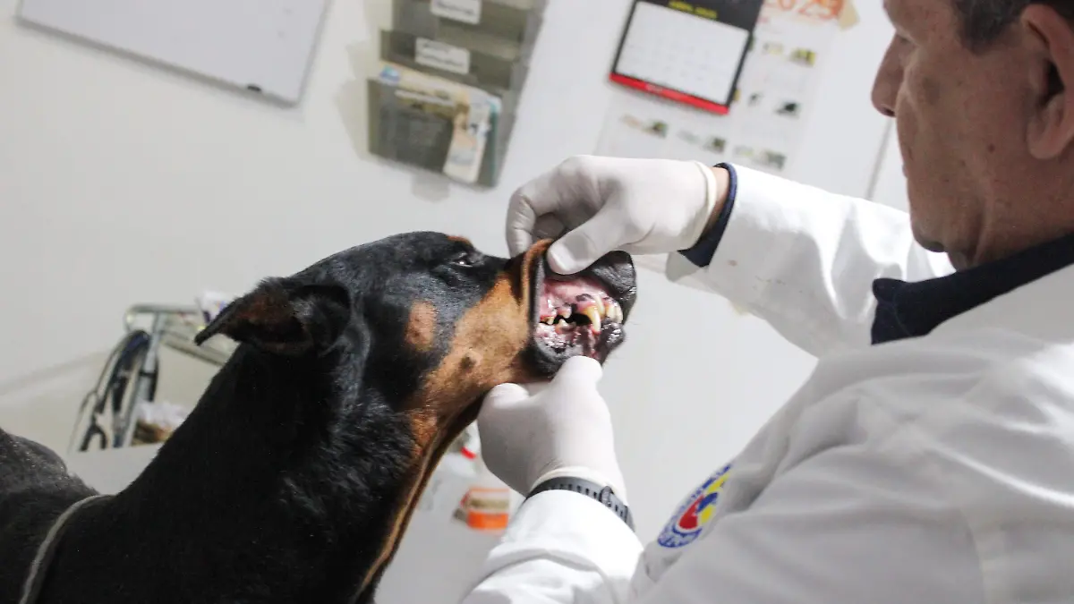 f carmona plaza salud (8)