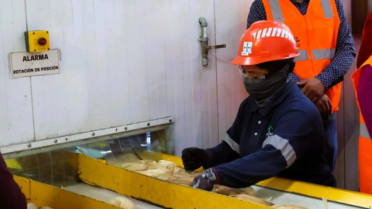 Reconversión productiva (2)