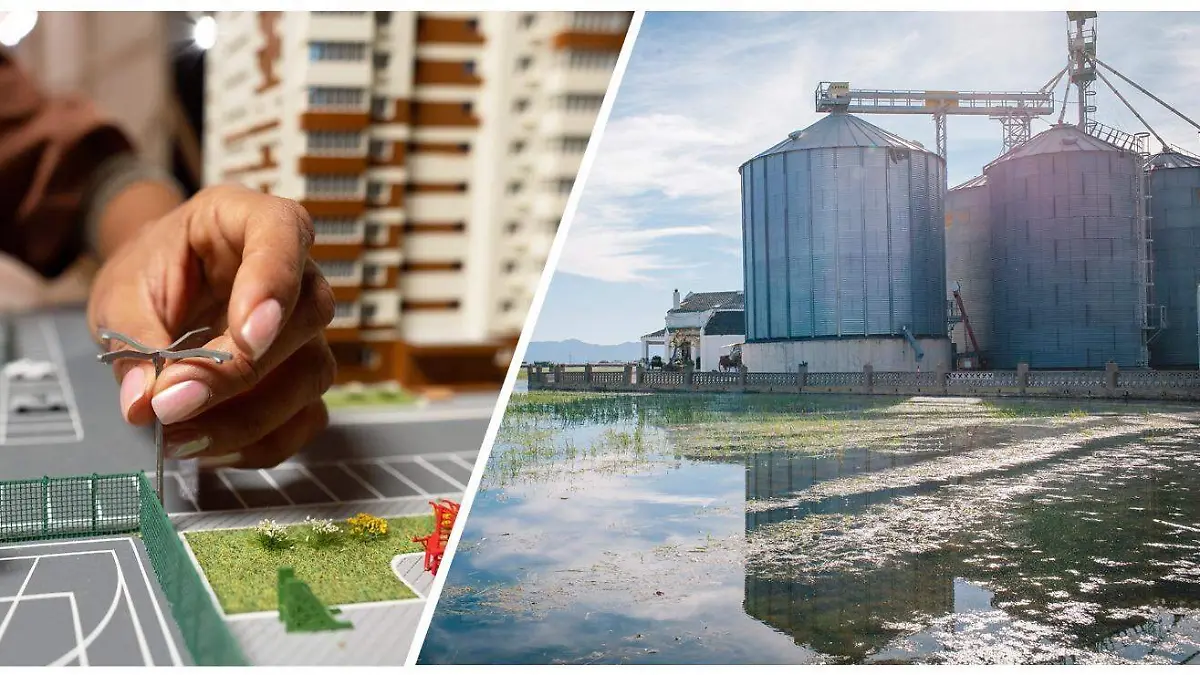 WhatsApp Image 2026-01-05 at 9.18.39 AM