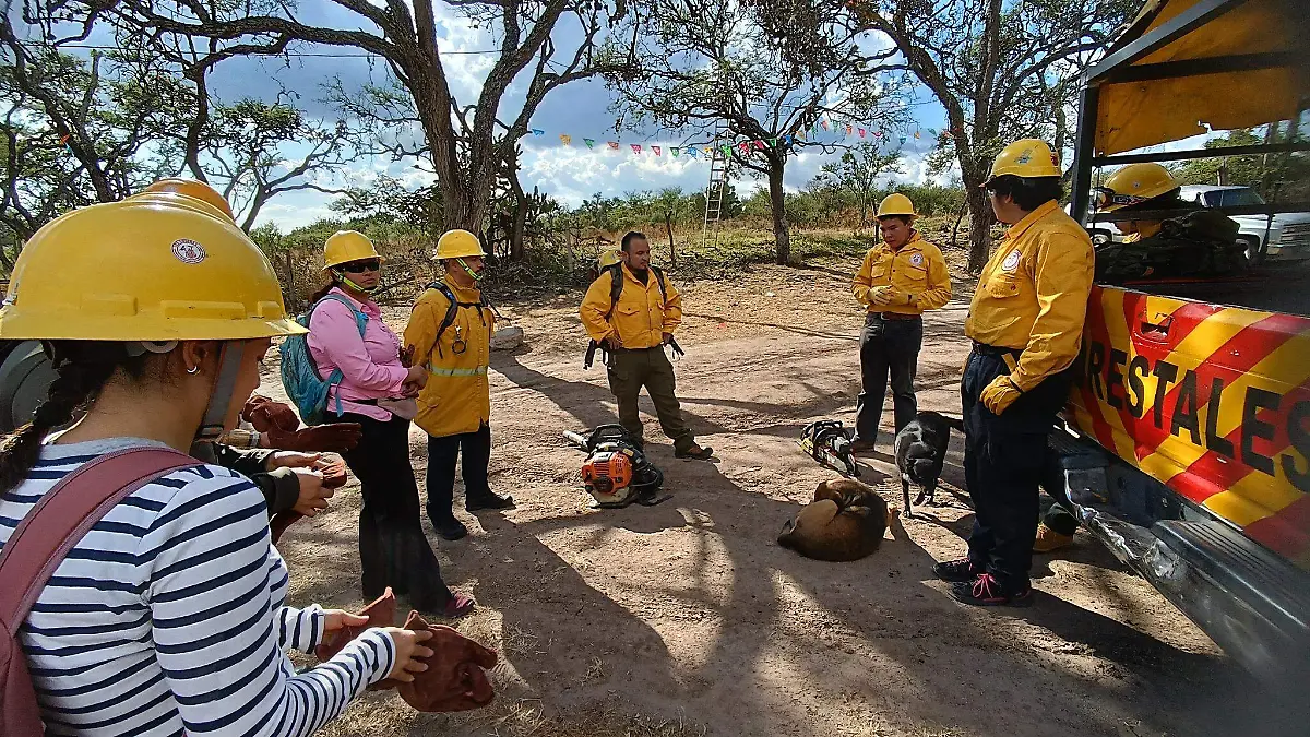 Guanajuato - Los Chuines crea la brigada “Colibríes” para prevenir incendios