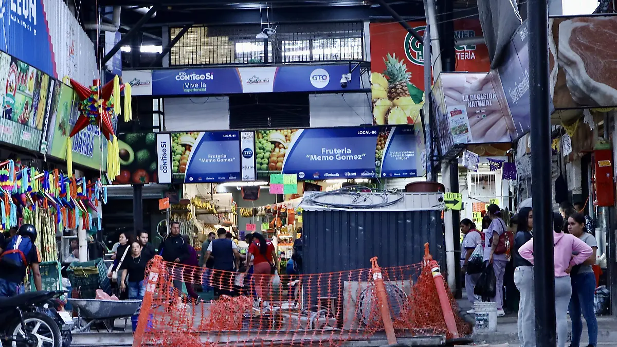 Descargue Estrella - Francisco Meza (15)