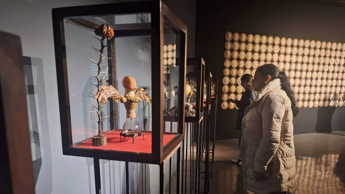 596372846_1347899810712991_95355621546692184_n