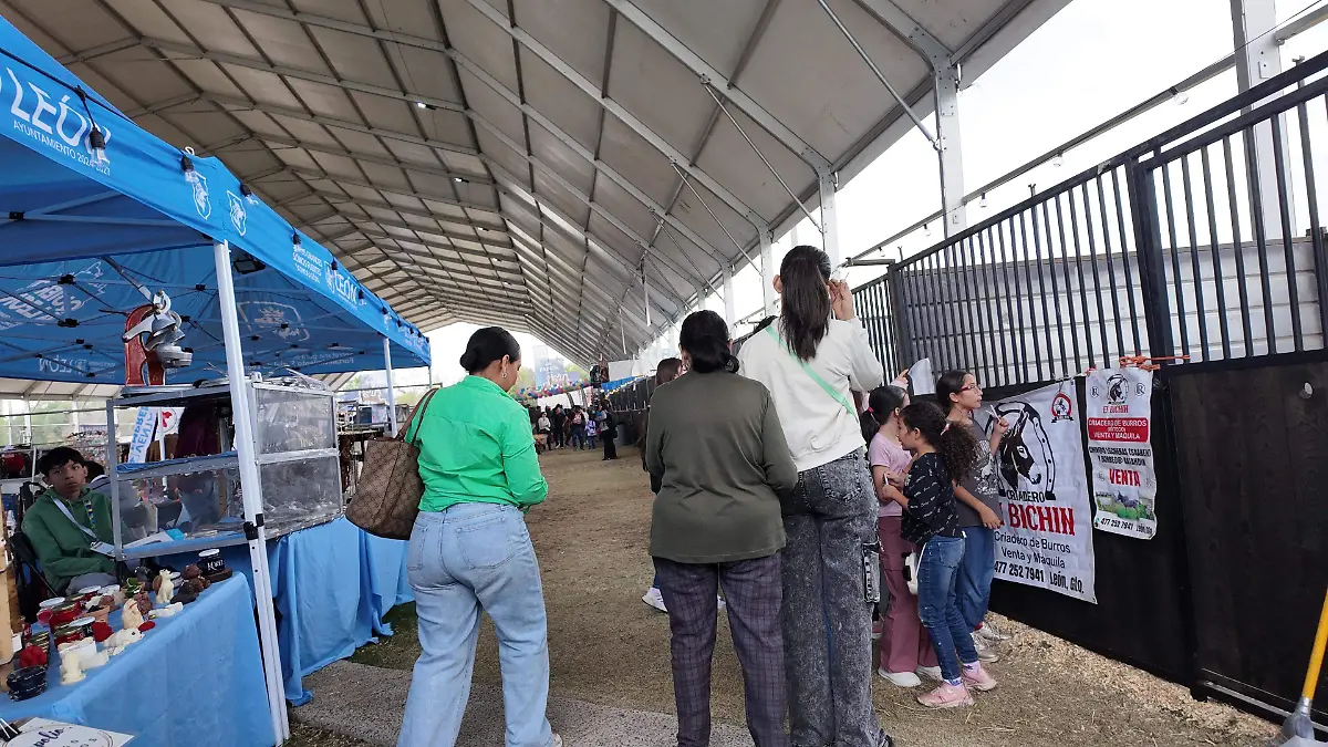 Exposición de burros y mulas en la Feria de León 2026 busca concientizar sobre su preservación