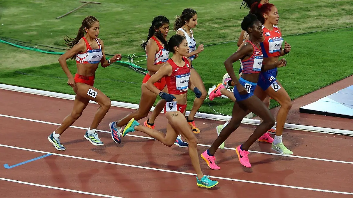 LAURA GALVAN (1) (1)