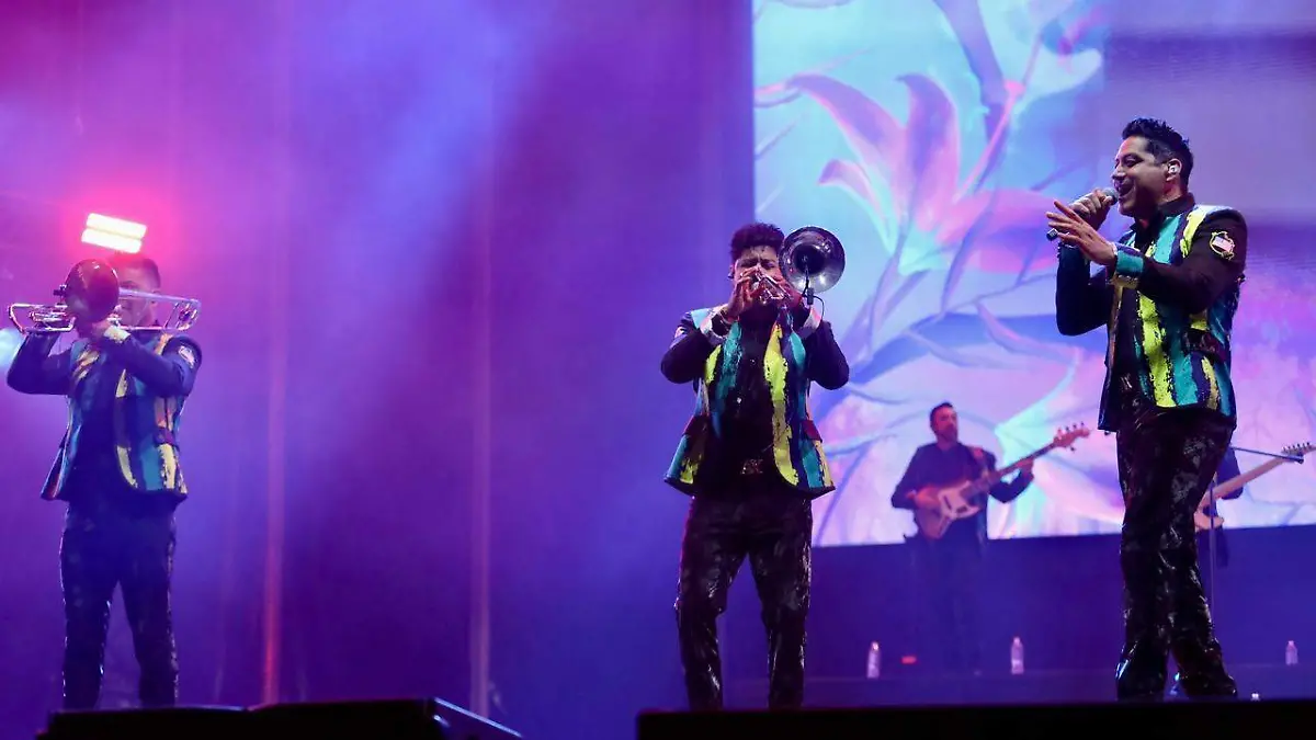 WhatsApp Image 2026-01-11 at 10.17.17 PM