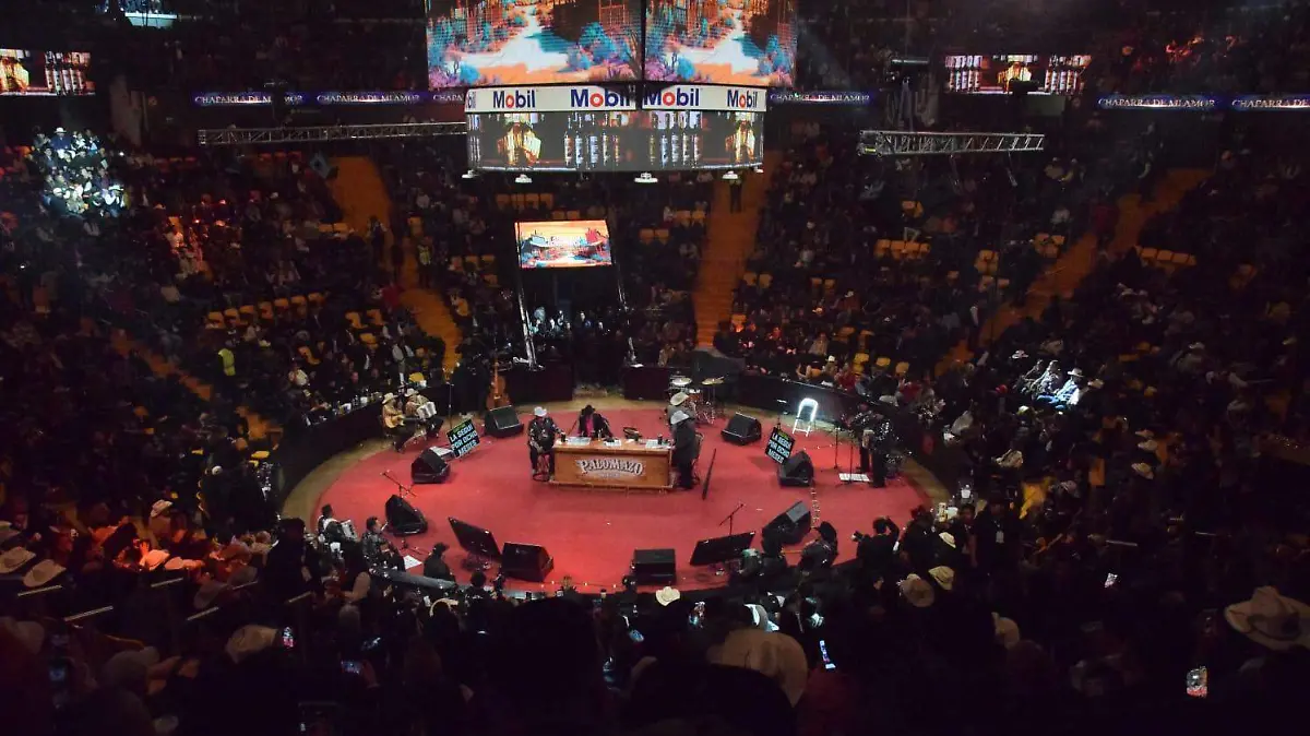 WhatsApp Image 2026-01-12 at 1.59.07 AM (1)