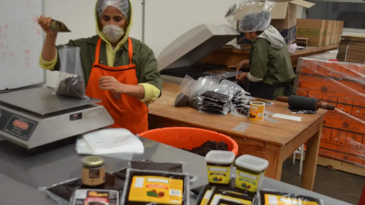 Guanajuato exportó casi seis mdd a Venezuela en 2025