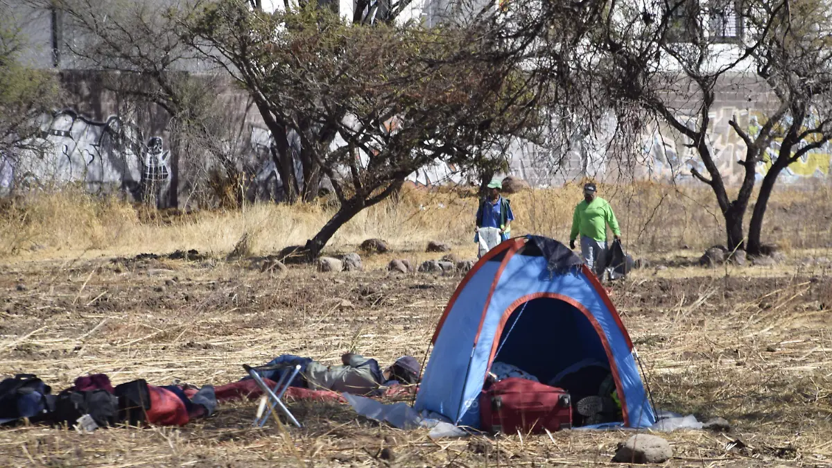 f carmona campamentos sanjuaneros 