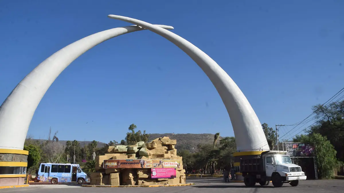 colmillos zoologico (2)