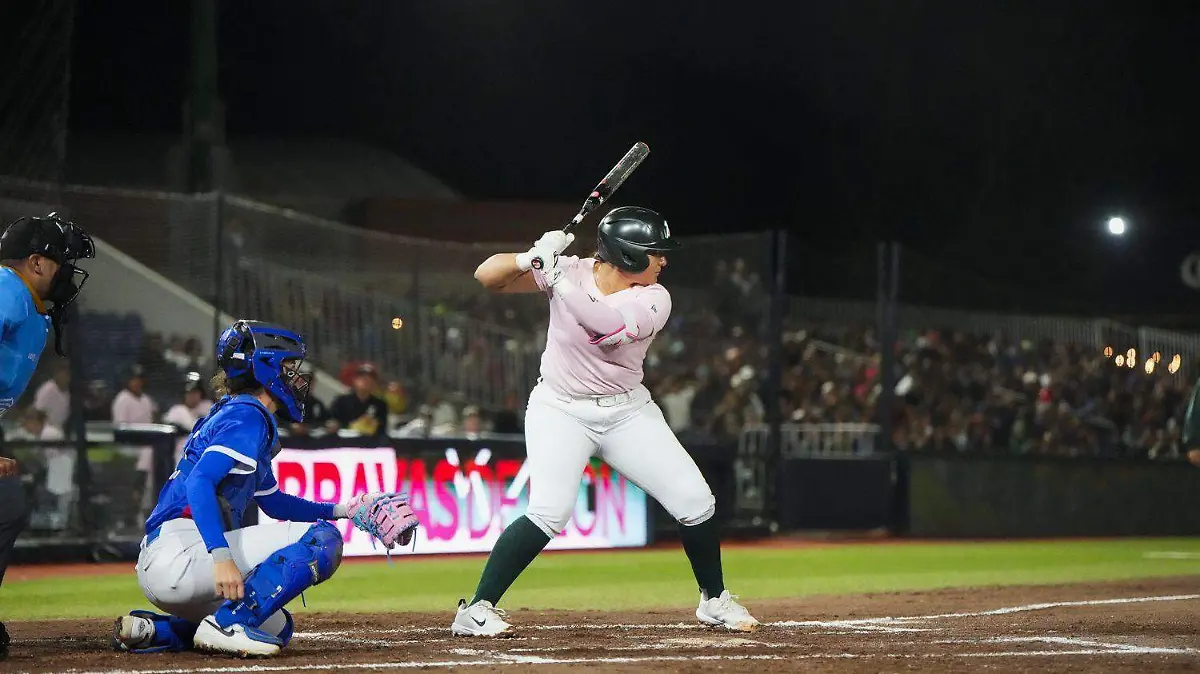 Cortesia Bravas Serie Italia