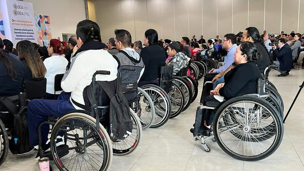 Guanajuato – Los 46 municipios deben atender todos los tipos de discapacidad