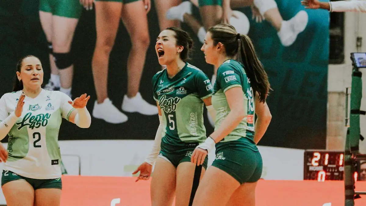 WhatsApp Image 2026-01-17 at 8.23.14 PM