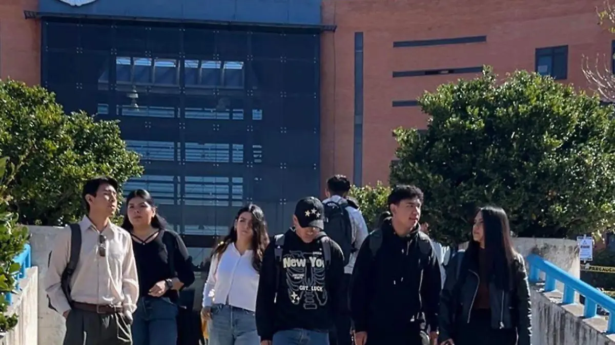 Guanajuato – Más de 48 mil abejas regresaron a las aulas en todo el estado de Guanajuato