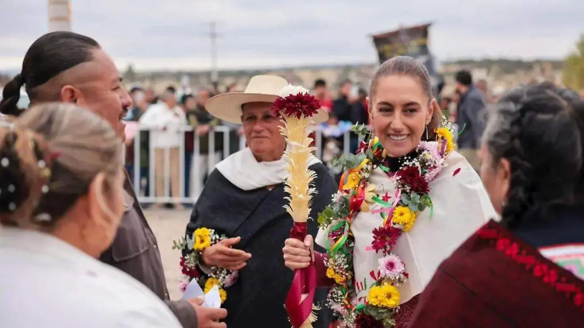 WhatsApp Image 2026-01-20 at 1.32.12 PM