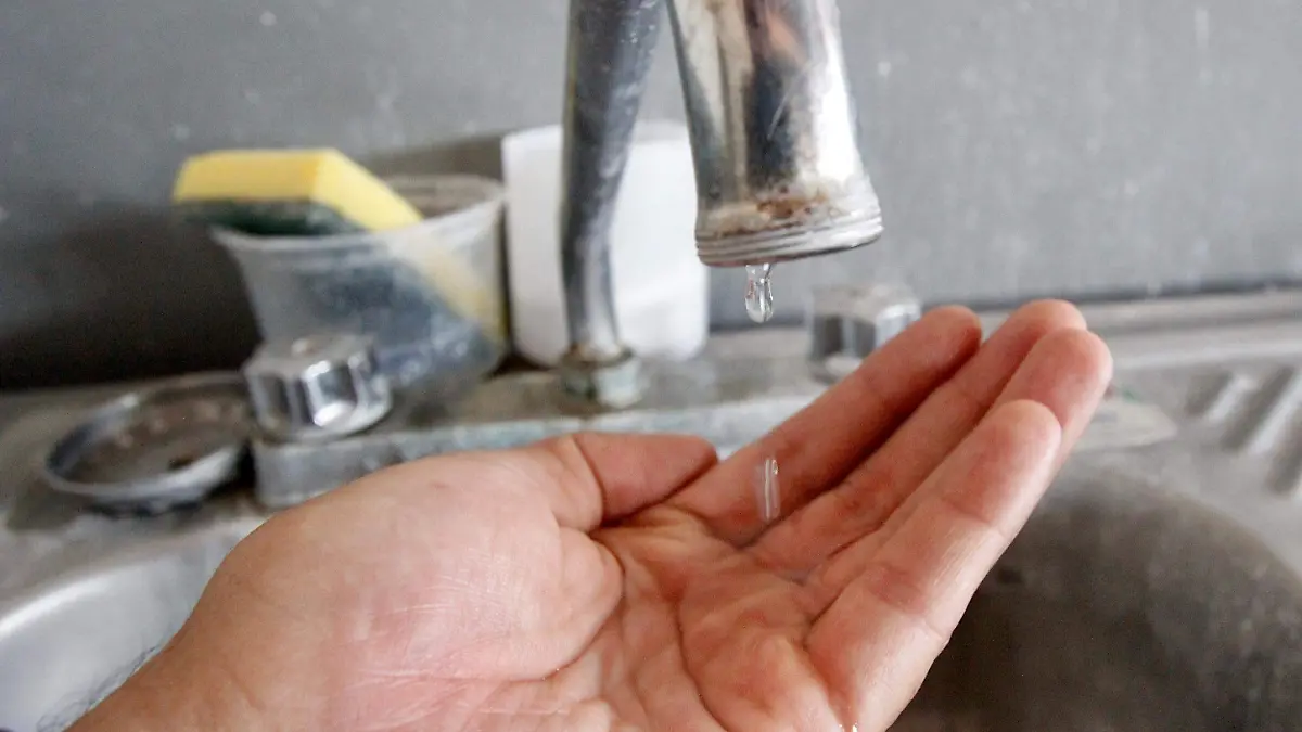 SAPAL - Fco Meza - El Sol de Leon (2)