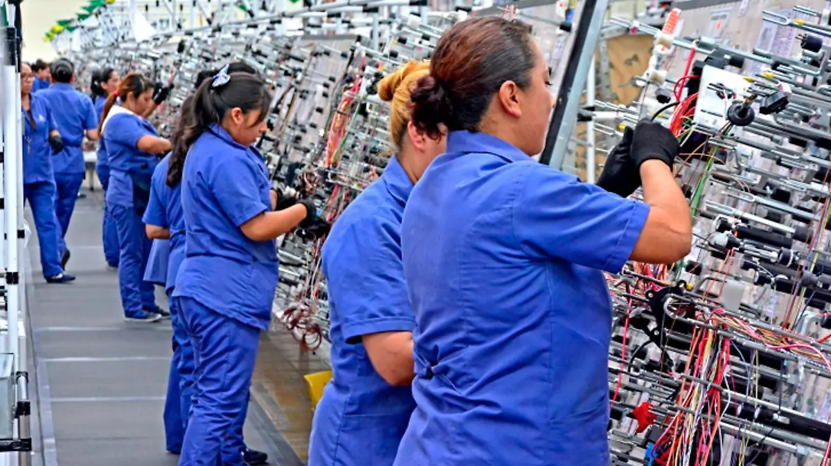 Condumex  arneses eléctricos