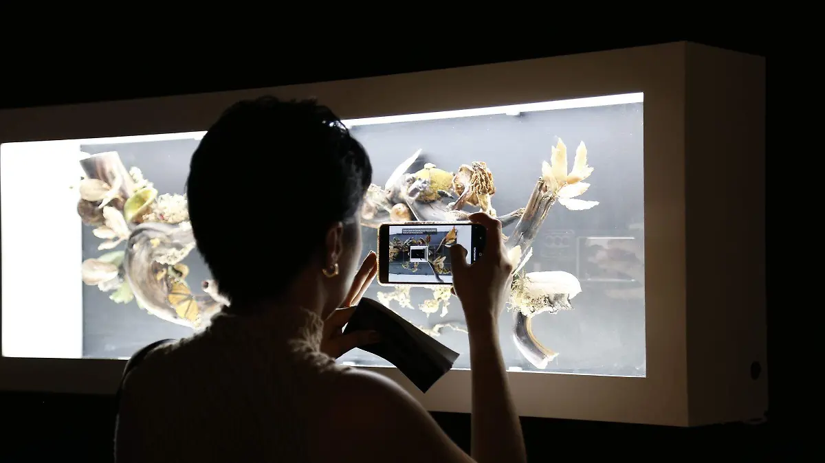 619674467_1702140860796030_6306144073753599503_n