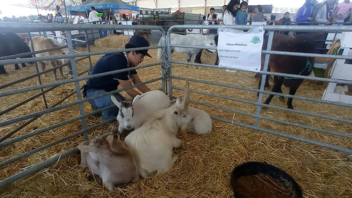 FRANCISCO CARMONA EXPOGANADERA LEONWhatsApp Image 2026-01-15 at 4.07.34 PM