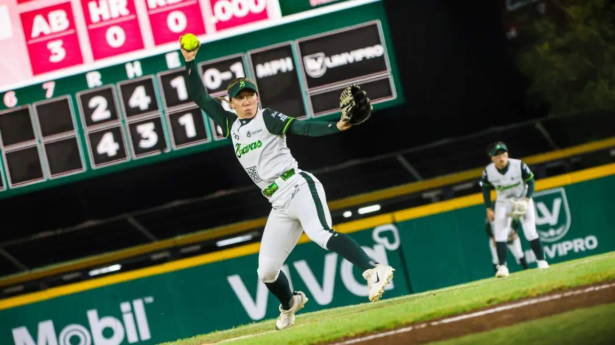 WhatsApp Image 2026-01-23 at 10.15.30 PM