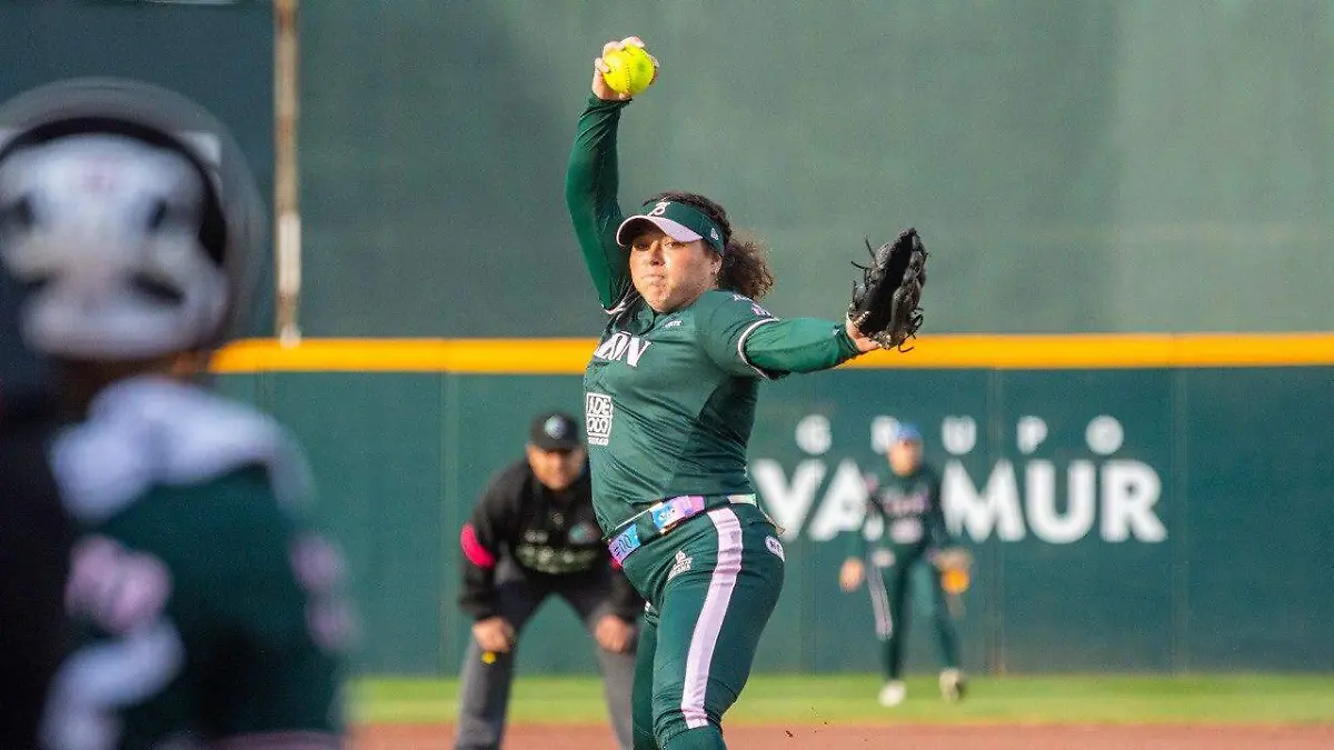 WhatsApp Image 2026-01-31 at 7.12.50 PM