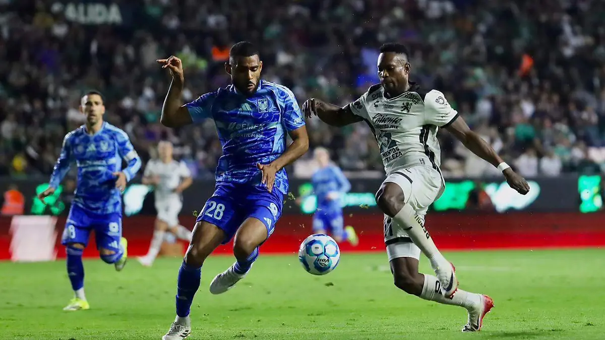 WhatsApp Image 2026-01-31 at 8.25.50 PM