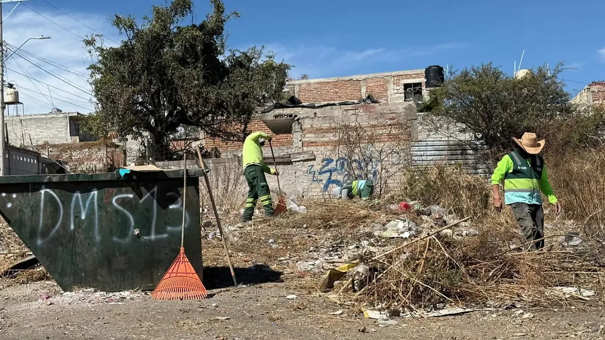 Captura de Pantalla 2026-02-01 a la(s) 11.58.34