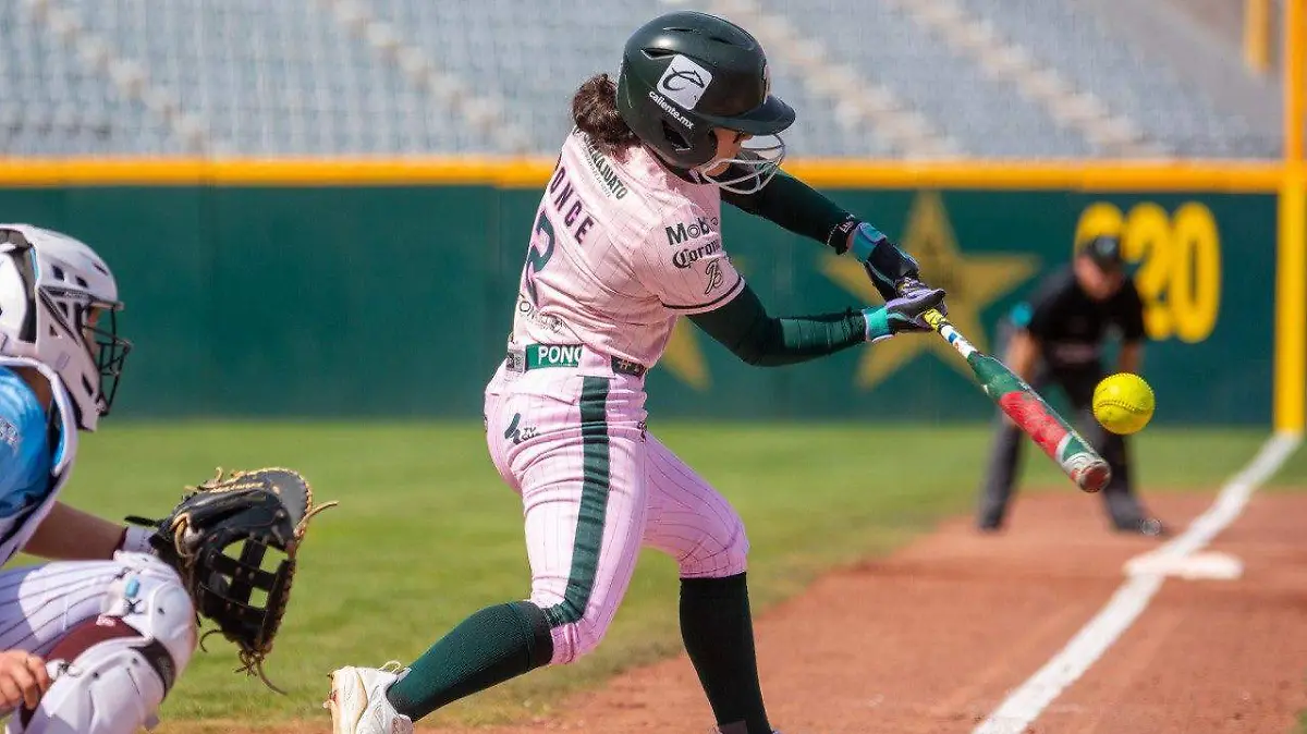 WhatsApp Image 2026-02-01 at 2.00.54 PM