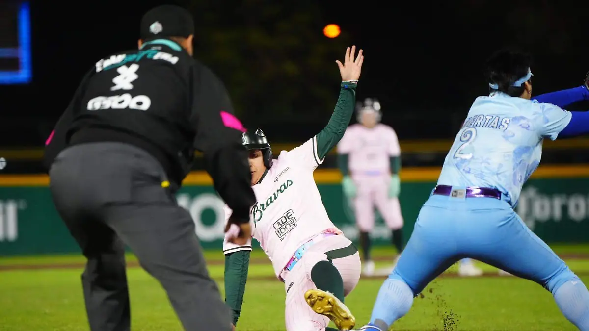 WhatsApp Image 2026-02-03 at 10.52.04 PM (2)