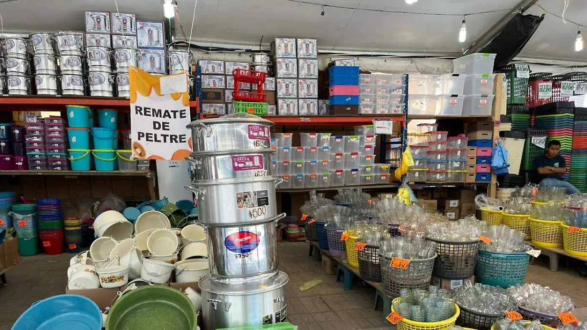 ROSARIO HORTA gritones